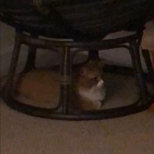 Meet your Posher, Dale